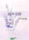 闻声寻野番外