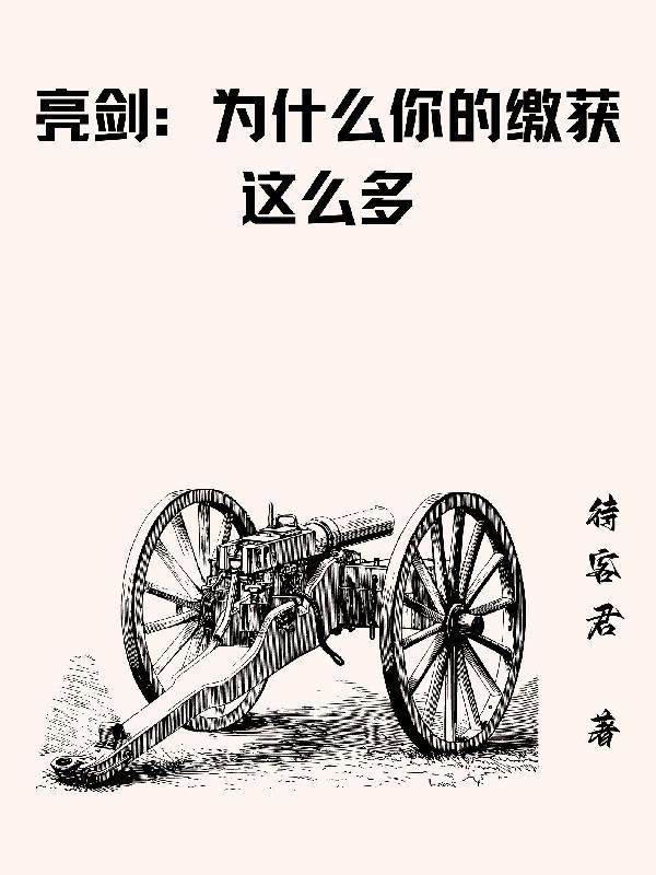 亮剑为什么那么成功