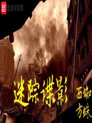 迷踪谍影 结局