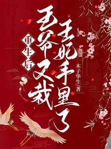 王爷重生后宠男妃
