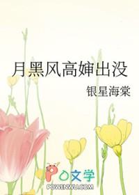 月黑风高夜的下一句是什么意思