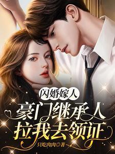 闪婚豪门engelchen无防盗