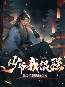 少爷和我人物