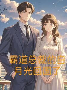 霸道总裁小仙妻