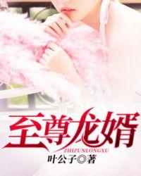 帝豪集团叶辰萧初然1215章