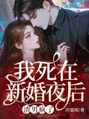 苏菀陆时晏苏宁安百度