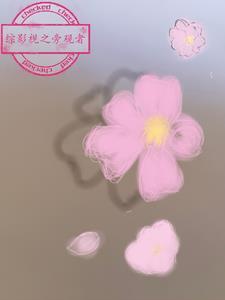 综影视旁观者清