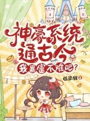 神豪系统有哪些