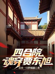 四合院之我是贾父