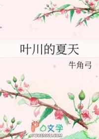叶川的夏天by牛角弓讲的什么