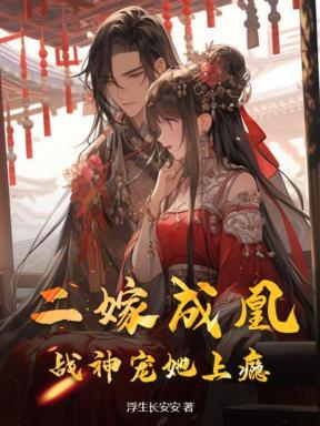 二嫁医妃王爷他想喜当爹