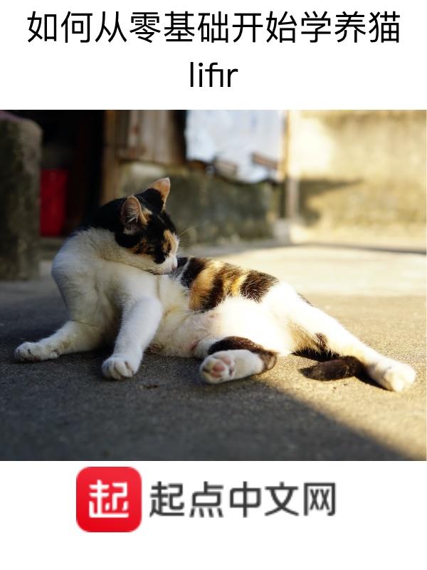 新手养猫