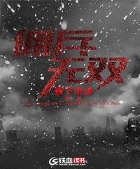 佣兵无双免费阅读