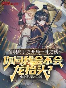 全职高手之开局一叶之秋