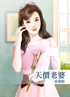 天价老婆买一送一txt