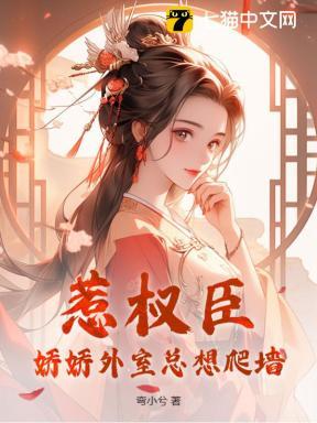 惹权臣娇娇外室总想爬墙 弯小兮