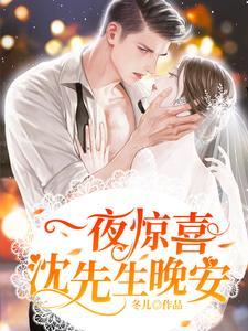 一夜惊喜沈先生晚安更新