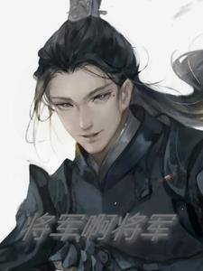 继续播放将军啊