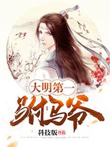 大明第一驸马爷有声