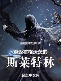 回到霍格沃茨的古代巫师 猪脚猪耳双拼饭