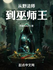 从野法师到巫师王 九日L