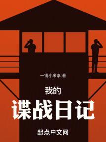 我的谍战日记TXT精校版