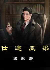 仕途风云免费阅读