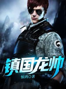 镇国龙帅陈默