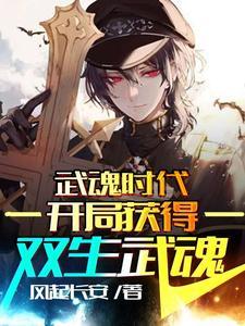开局双生武魂自爆