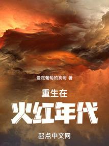 重生于火红年代1000章