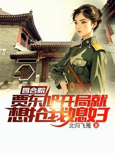 穿越电视剧四合院