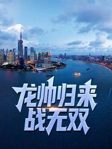 龙帅回归最新章节