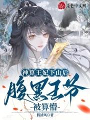 神算王妃免费阅读