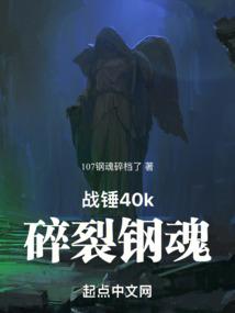 战锤40k碎裂钢魂 107钢魂碎档了