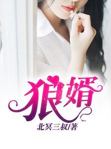 狼婿下山免费全集播放