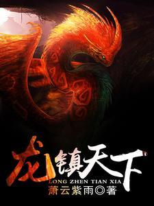 龙镇天下秦楠