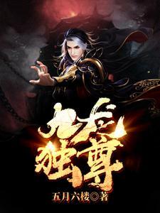 九龙至尊绝全集