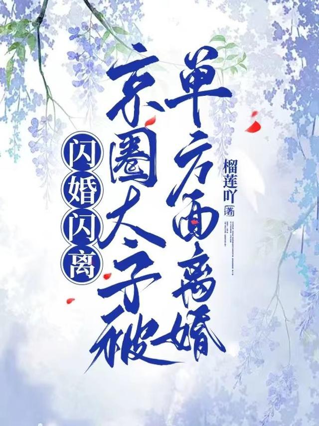 京圈太子文