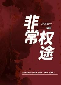 非常权途百度百科