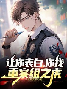 重案组是什么意思