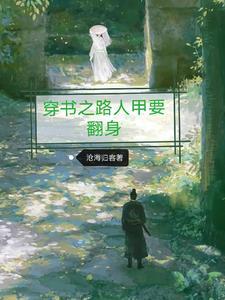 穿书路人甲之在线观
