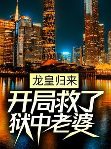 龙皇归来李刑白楚琳