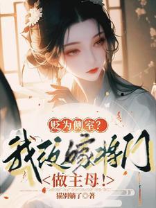 二嫁主母娇又软国民少帅夜夜洗床单