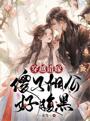 穿越嫁傻少爷