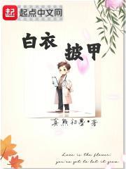 白衣披甲阅读
