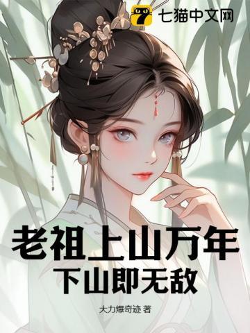 是什么书