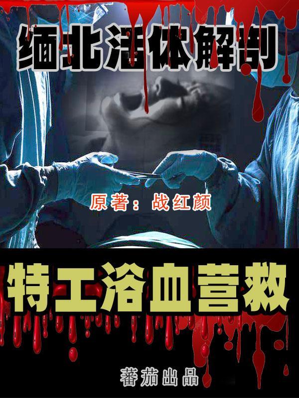 缅北涉案