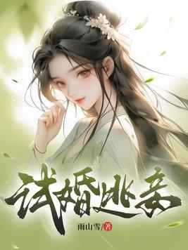 试婚贵妾