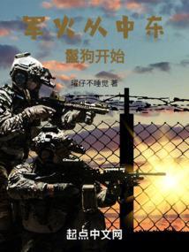 军火从中东鬣狗开始无错