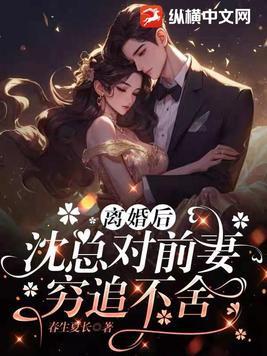 离婚无效沈知初